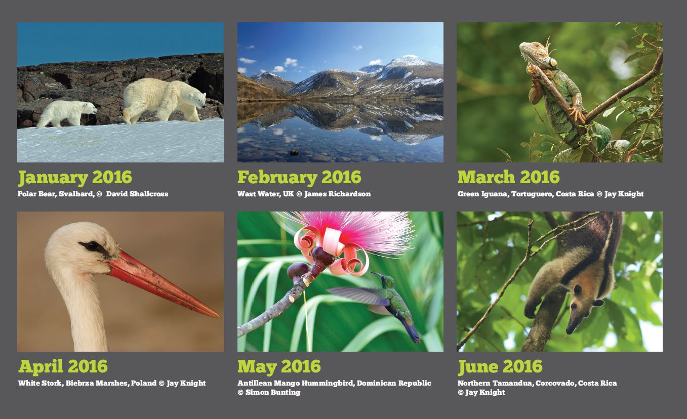 EcoSpeed Wildlife Calendar Photography Competition 2016