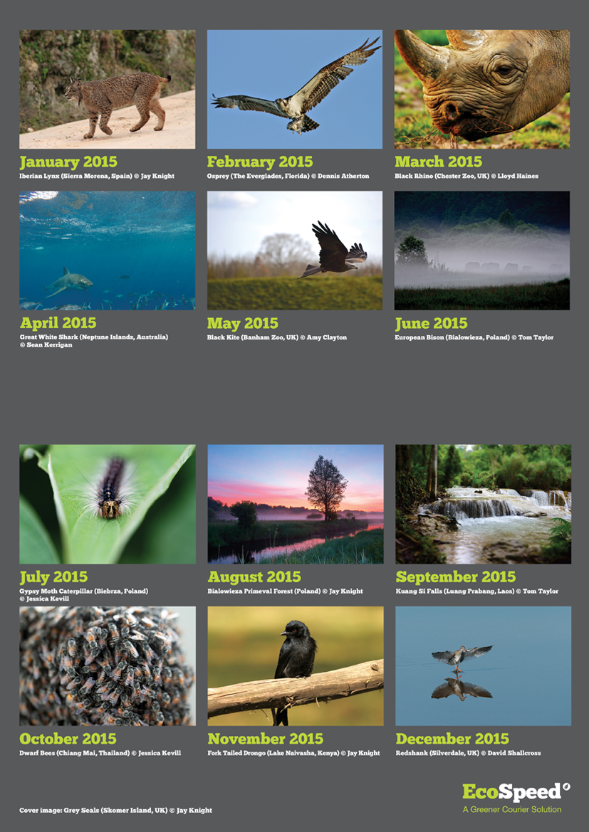 EcoSpeed 2015 Calendar