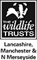 The Wildlife Trusts Lancashire Manchester & North Merseyside logo