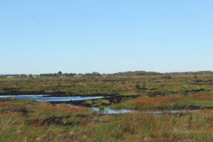 Little Woolden Moss Project Lancashire Wildlife Trust