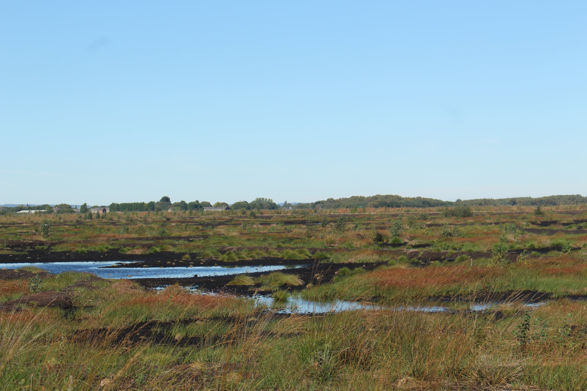 Little Woolden Moss Project Lancashire Wildlife Trust