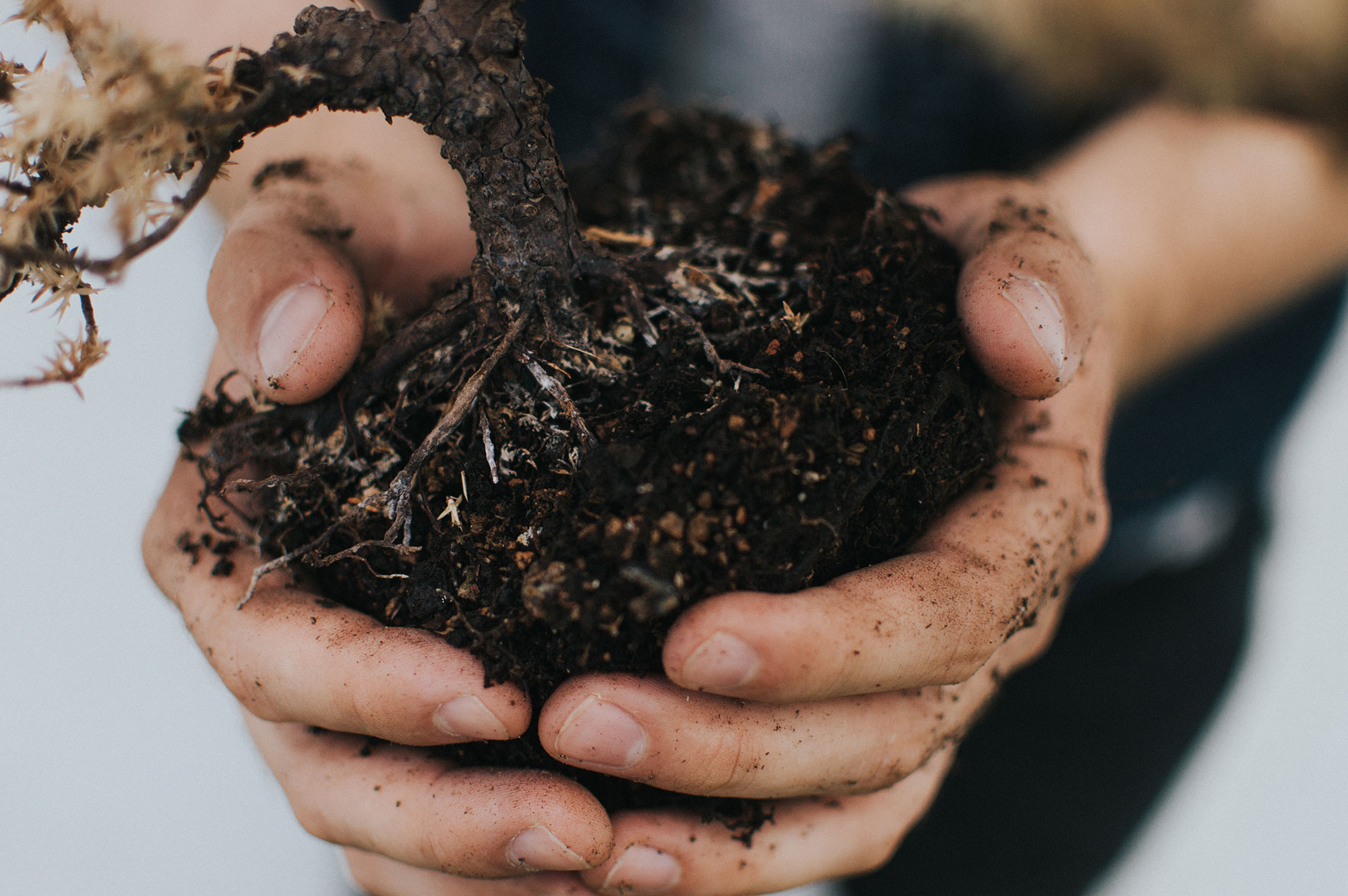 Compostable packaging material