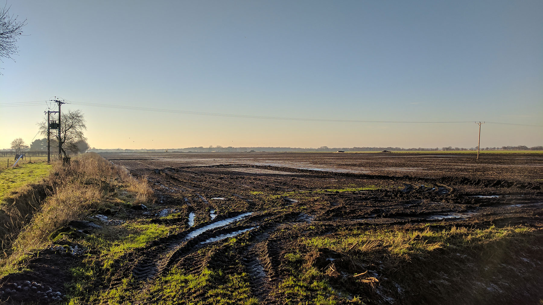 Chat Moss reserve