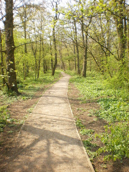 Foxhill Bank Nature Reserve