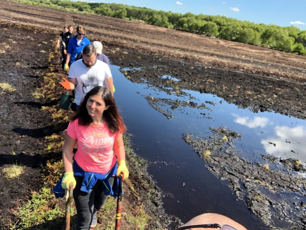 EcoSpeed office team volunteering at Lancashire Wildlfe Trust's Little Woolden Moss