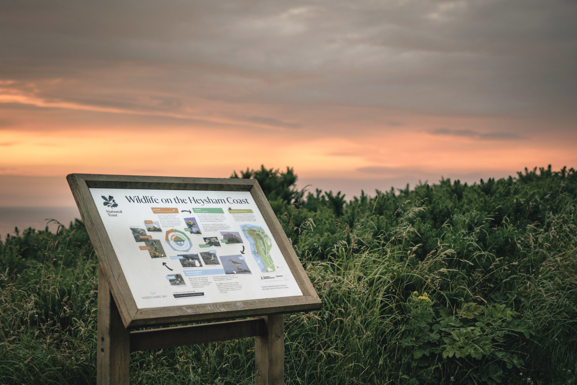 Heysham Nature Reserve