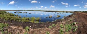 Little Woolden Moss, Lancashire Wildlife Trust