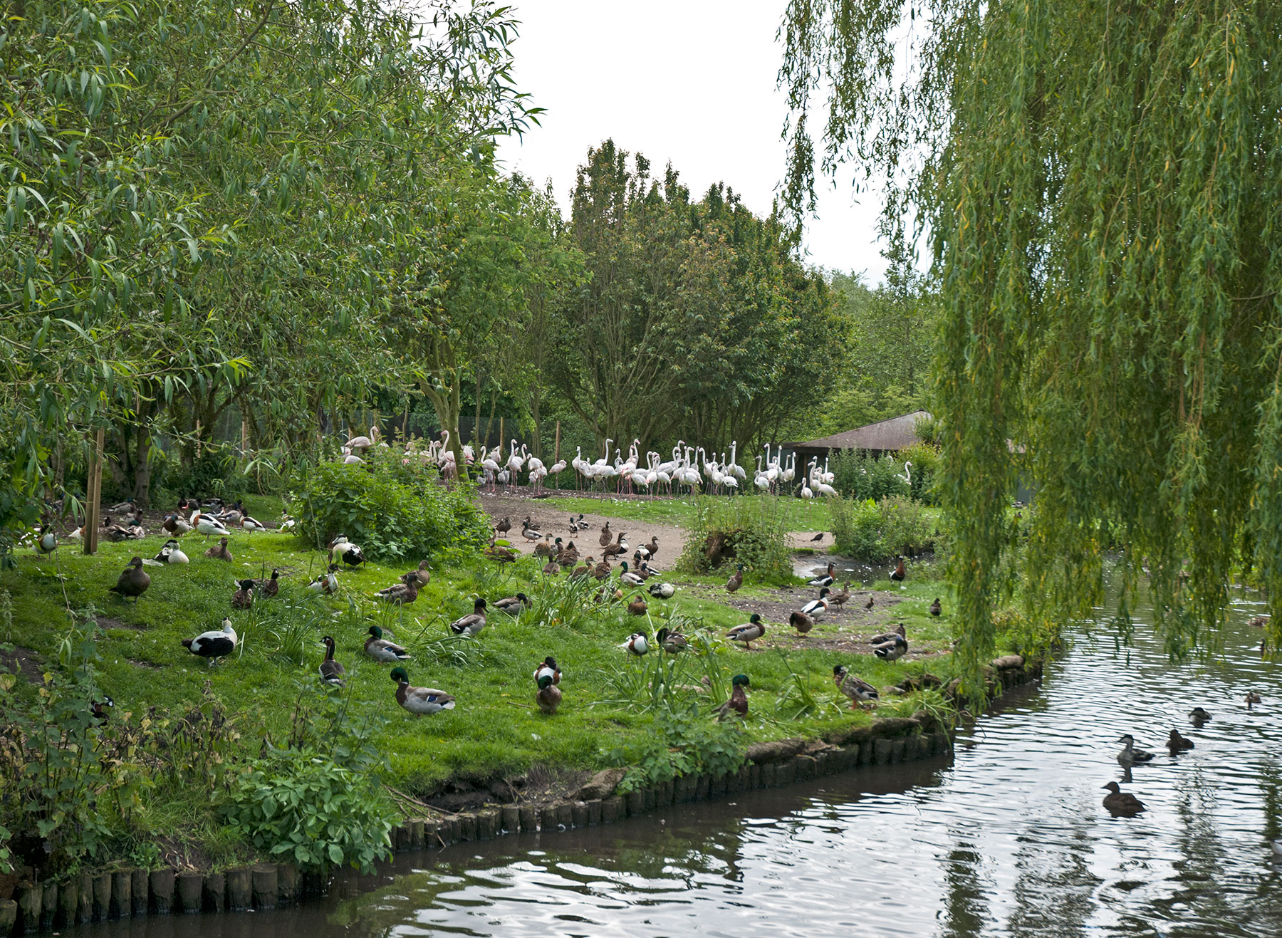 Martin Mere Wetland Centre