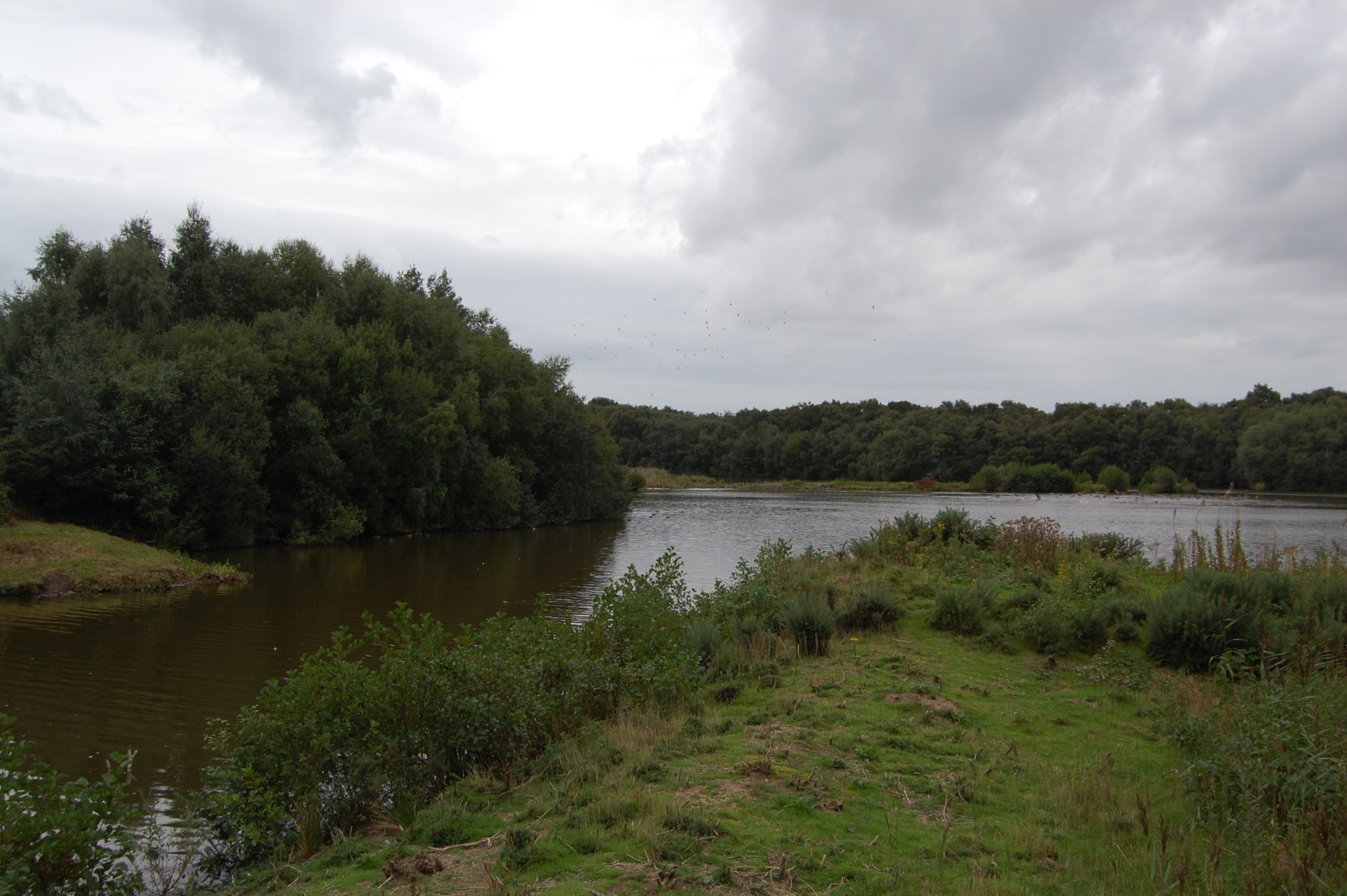 Mere Sands Nature Reserve