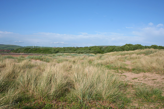 Sandscale Haws Dunes Nature Reserves