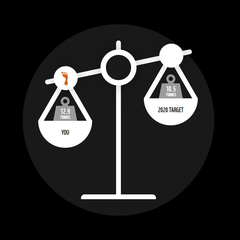 WWF Carbon Footprint Calculator result