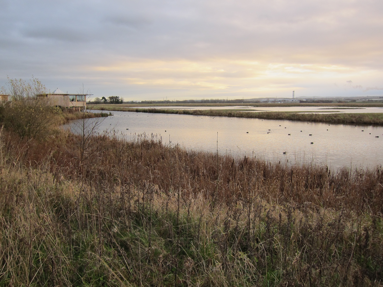 Burton Mere Wetlands