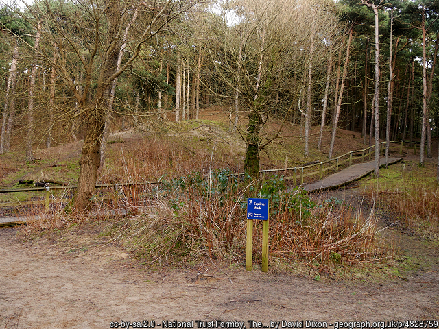 National Trust Formby