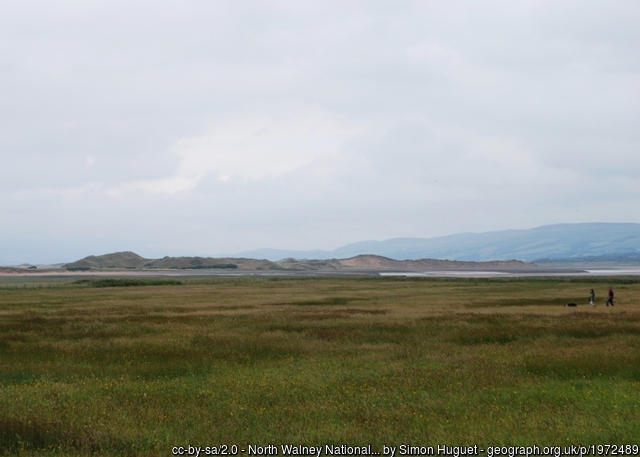 North Walney nature reserve