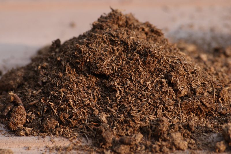 Peat Compost