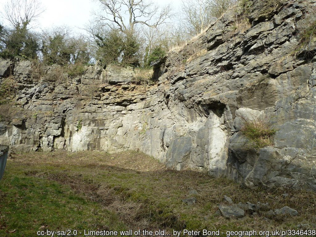 Salthill Quarry Nature Reserve