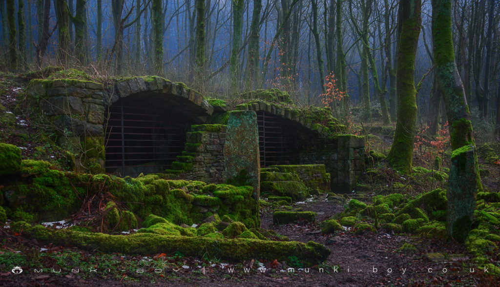 The ruins of Wheelton plantation/Brinscall woods